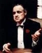 Marlon Brando, acteur oscarisé