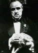 La famille de Marlon Brando