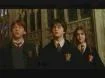 Ron, Harry et Hermione (de gauche à droite)