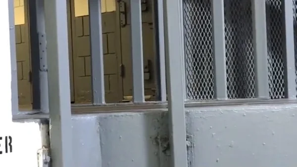 Barreaux métalliques et grillage d'une fenêtre d'établissement pénitentiaire.