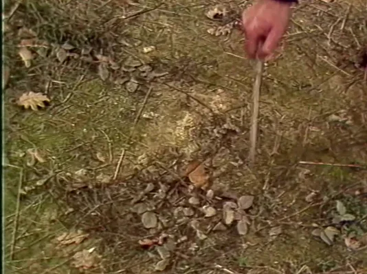 Examen du sol sur les lieux de l'observation OVNI.