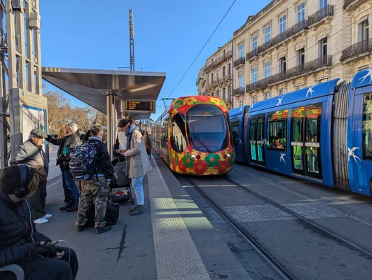 Un tramway de Montpellier à l'arrêt, identifiable à ses motifs floraux colorés.