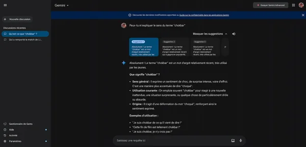 Interface de Google Gemini affichant une réponse textuelle détaillée avec navigation latérale et suggestions.