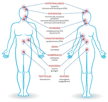 Une femme portant des écouteurs bleus devant une fenêtre.