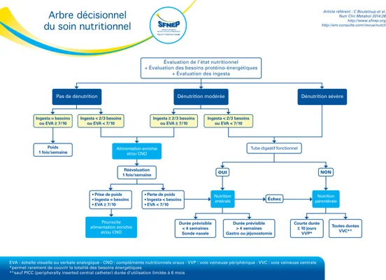Arbre décisionnel du soin nutritionnel selon la SFNEP pour évaluer la prise en charge de la dénutrition.
