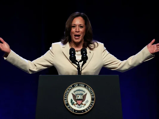 Kamala Harris, la candidate qui se veut « le reflet de l'Amérique d'aujourd'hui et de demain » - France 24