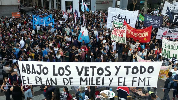 Manifestants brandissant une banderole contre les vetos de Javier Milei et le plan du FMI.