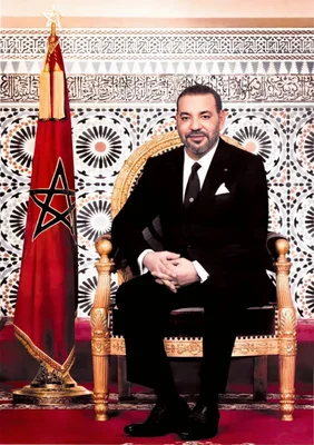 Le roi Mohammed VI dans un cadre officiel marocain.