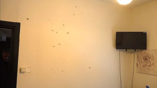 Intérieur d'une maison à Villeurbanne après qu'elle a été criblée de balles, montrant les impacts sur le mur.