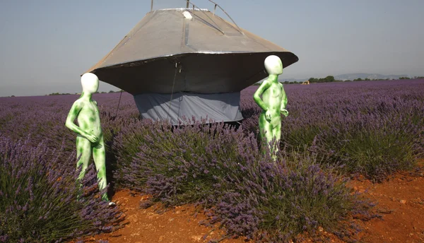 Scène évocatrice d'une rencontre extraterrestre dans un champ de lavande à Valensole.