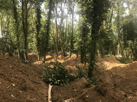 Les fouilles dans le bois de Rouvray, dans l'Yonne, où des vêtements féminins des années 1970 ont été découverts lors de précédentes campagnes.