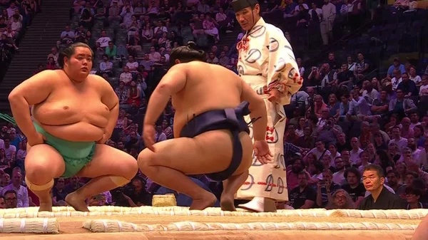 Kotozakura et Hiradoumi prêts à s'affronter au Tournoi de Paris.