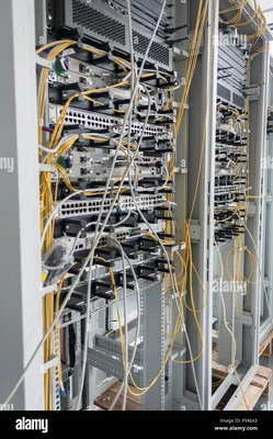 Détail de câblage fibre optique et de serveurs dans un centre de données.