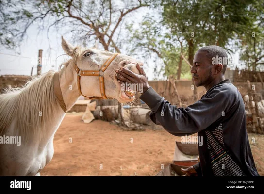 Cedikou, propriétaire de cheval, interagit avec son cheval à l'hippodrome de Niamey, au Niger.