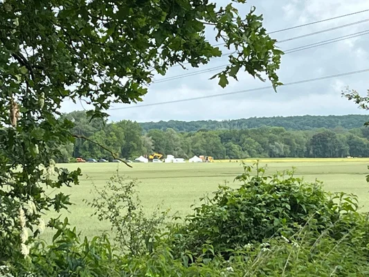 Le bois de Rouvray, dans l'Yonne, où de nouvelles fouilles ont été menées en septembre 2024 sans découverte significative.