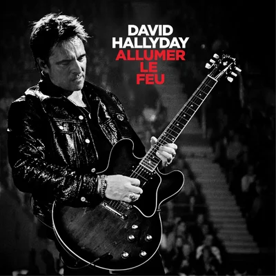 David Hallyday en concert, image promotionnelle pour « Allumer le feu ».