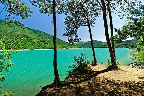 Vue d'un lac turquoise entouré de montagnes boisées, avec des pins au premier plan.