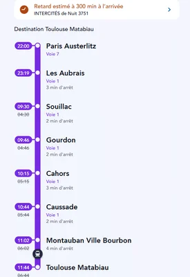 Capture d'écran d'une application mobile montrant un retard de 300 minutes pour le train Intercités de Nuit 3751 reliant Paris à Toulouse.
