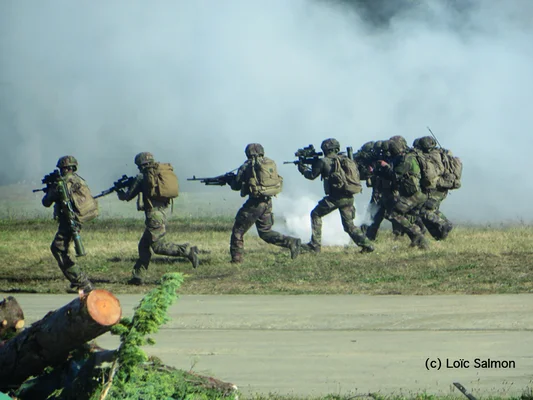 Soldats de l'armée de Terre en exercice d'entraînement tactique sur un terrain herbeux.