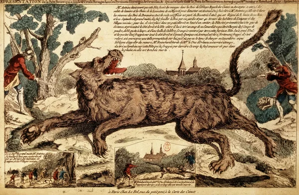 Gravure française du XVIIIe siècle coloriée à la main montrant la Bête du Gévaudan, créature géante semblable à un loup grognant en pleine course, attaquée par des chasseurs armés de lances avec des chiens, entourée de texte et de petites scènes de chasse