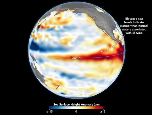 Visualisation scientifique des anomalies de hauteur de la surface de la mer dans l'océan Pacifique, montrant une bande d'eaux plus chaudes que la normale le long de l'équateur, signe du phénomène El Niño